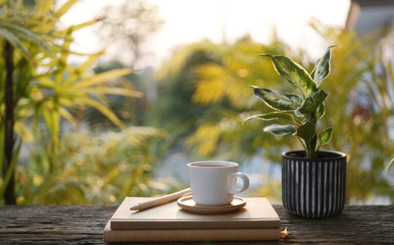The Beauty of Slow Mornings: Simple Rituals to Start Your Day with Intention